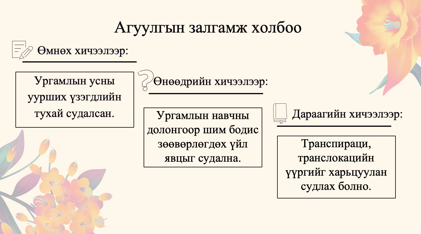 Мэдлээ | Цахим контент